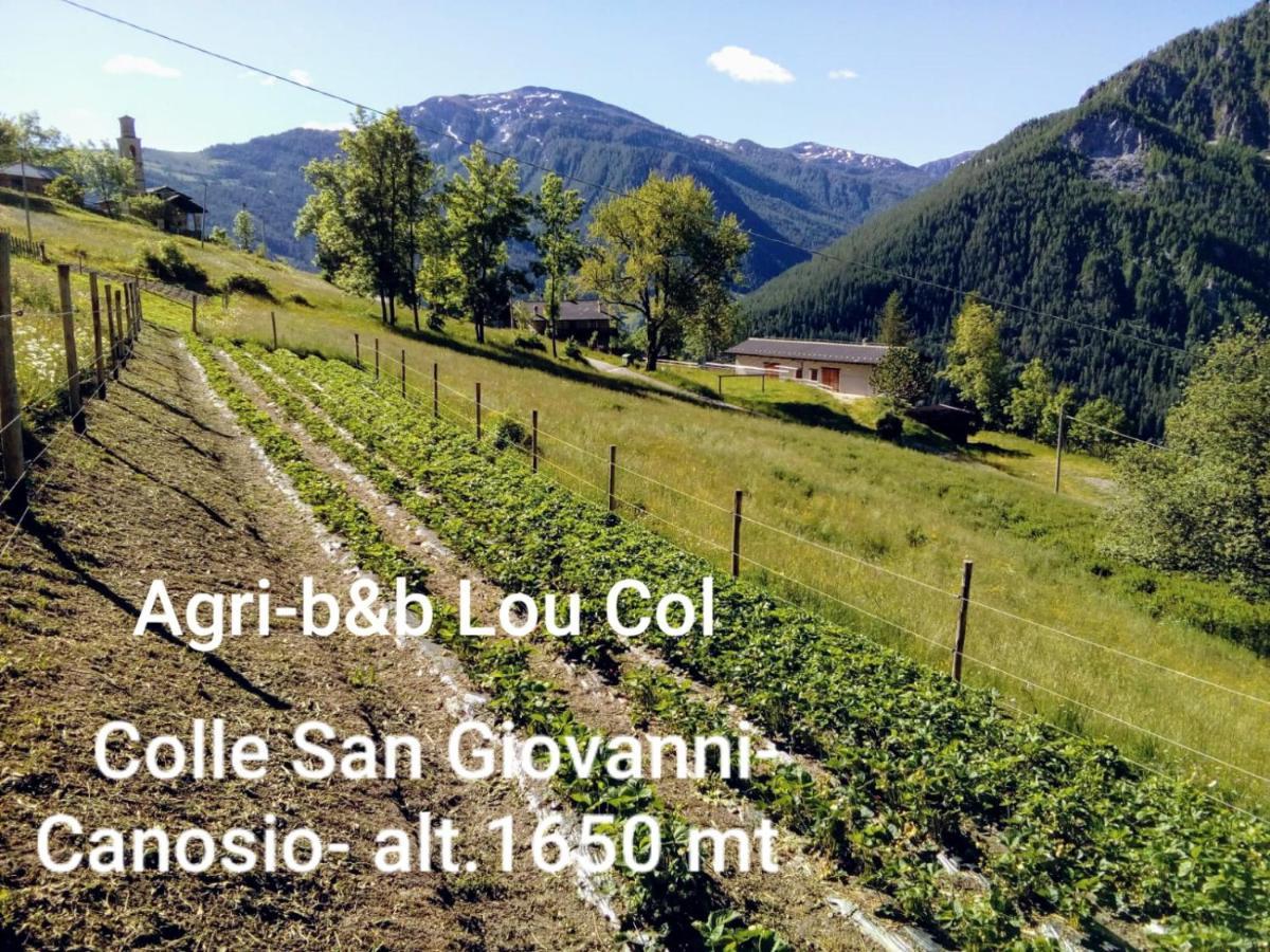 Agri-B&B Lou Col Canosio Ngoại thất bức ảnh