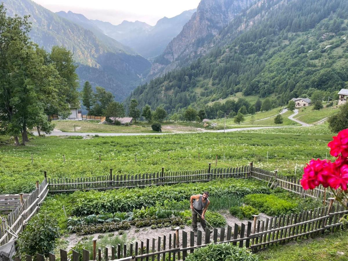 Agri-B&B Lou Col Canosio Ngoại thất bức ảnh